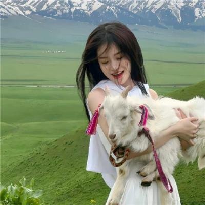 High Kick 短腿的反击